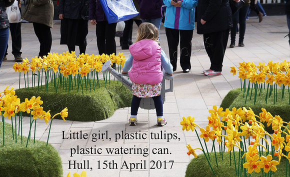 Little girl, plastic daffodils
