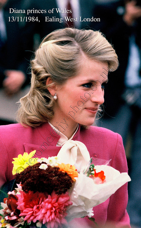 Diana at Ealing November 1984