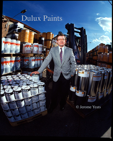 Dulux Paints Mgr