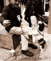 Begging Dog, Hull