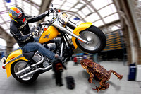Yellow Harley avoids Toad