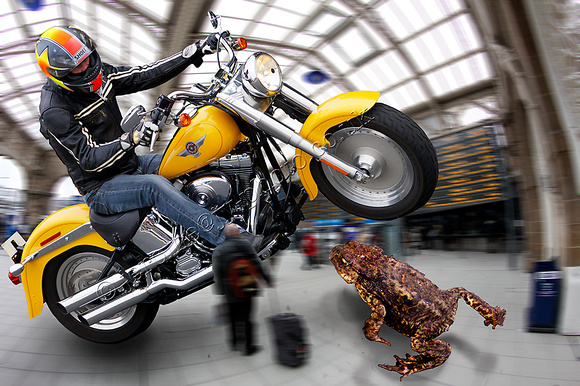 Yellow Harley avoids Toad
