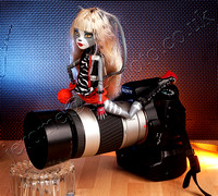 Cat Doll and Sony camera